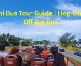 Miami Bus Tour Guide | Hop On Hop Off Big Bus