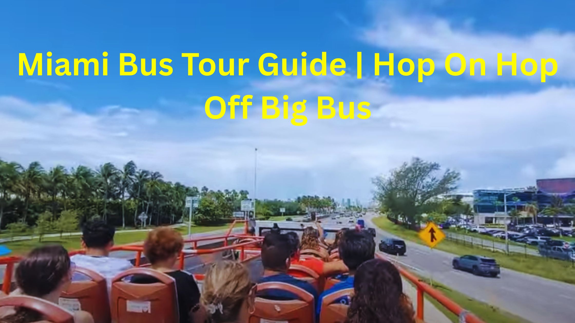 Miami Bus Tour Guide | Hop On Hop Off Big Bus