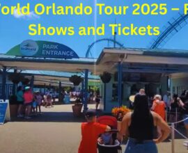 SeaWorld Orlando Tour 2025 – Rides, Shows and Tickets